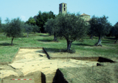 Sovana Cattedrale